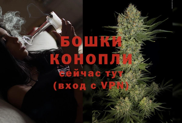 прущие грибы Осинники