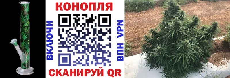 Марихуана сатива Калязин